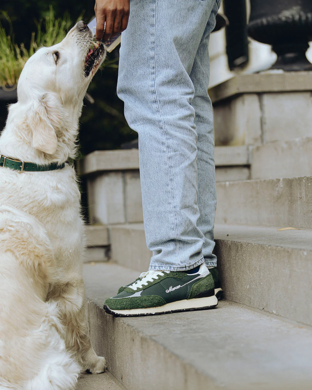 The Re-Racer | Green - Image 6